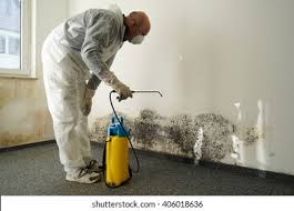 Why You Should Choose Our Mold Remediation Services in Giddings, TX